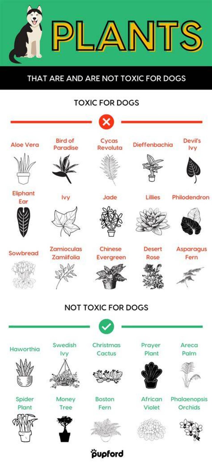 Are avocado tree leaves poisonous to dogs?