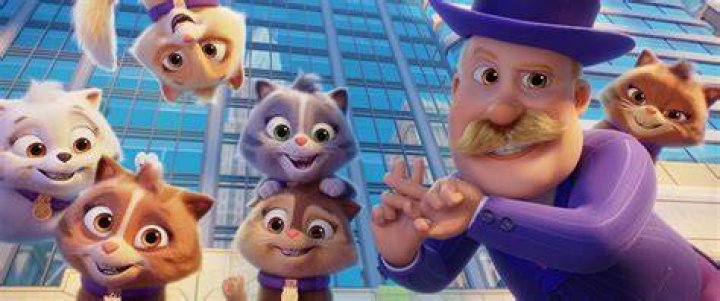 Do Mayor humdingers cats have names?