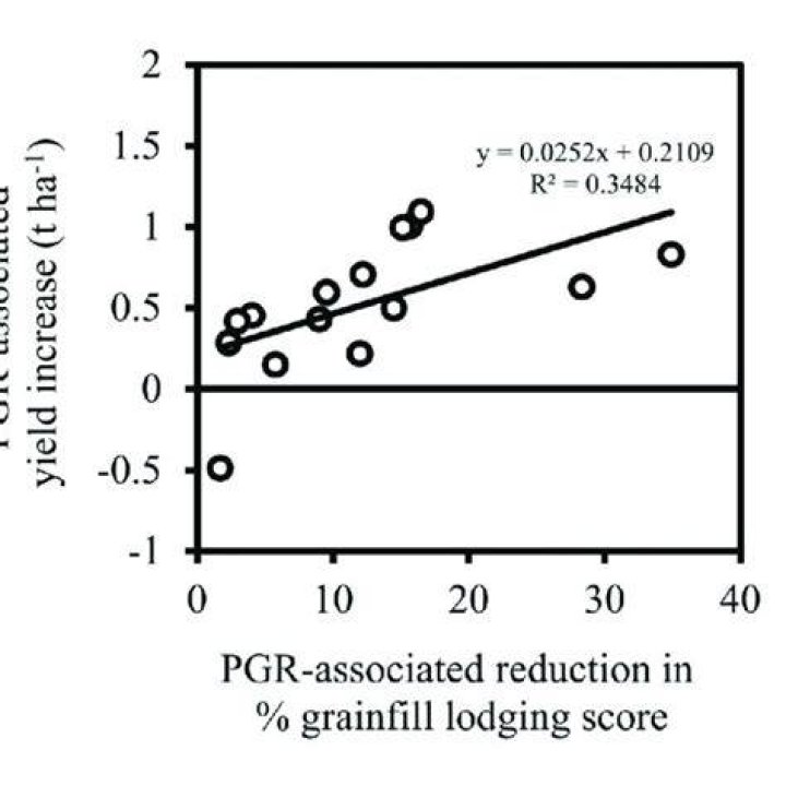 Does PGR increase yield?