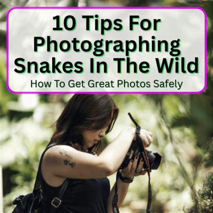 How do you make sure there are no snakes?