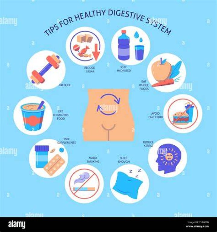 How do you reset your digestive system?
