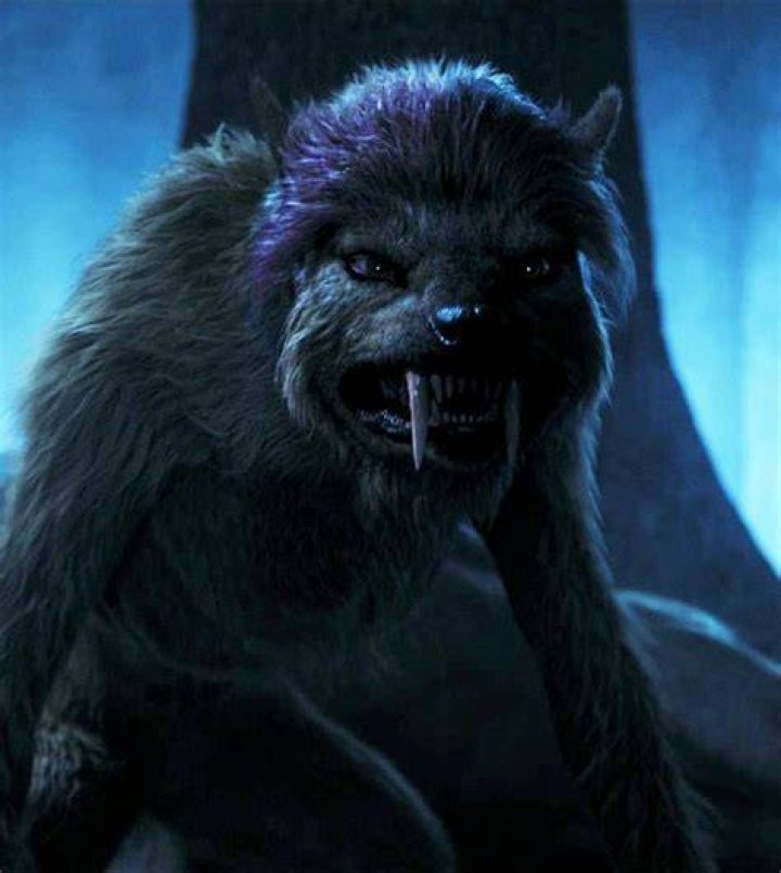 Is Clay the werewolf in The Order?