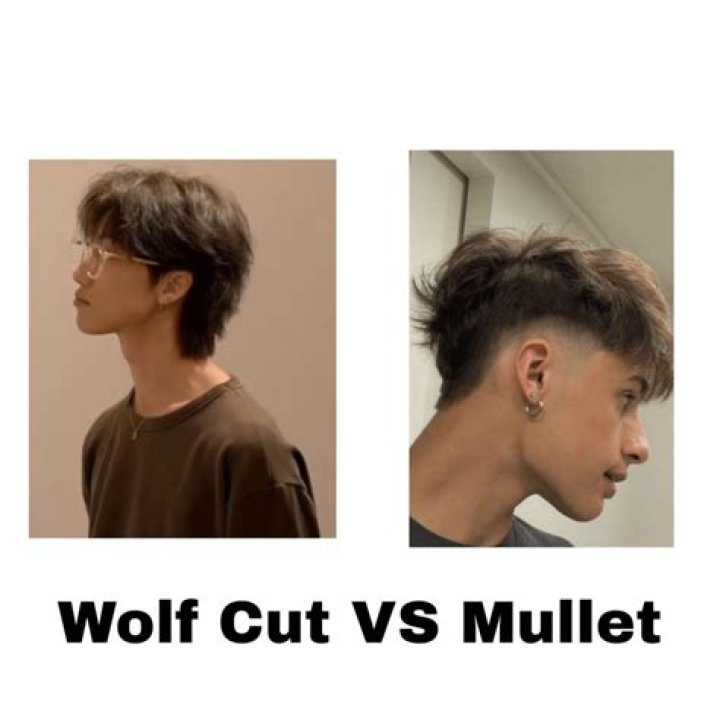 Is mullet and Wolf cut the same?