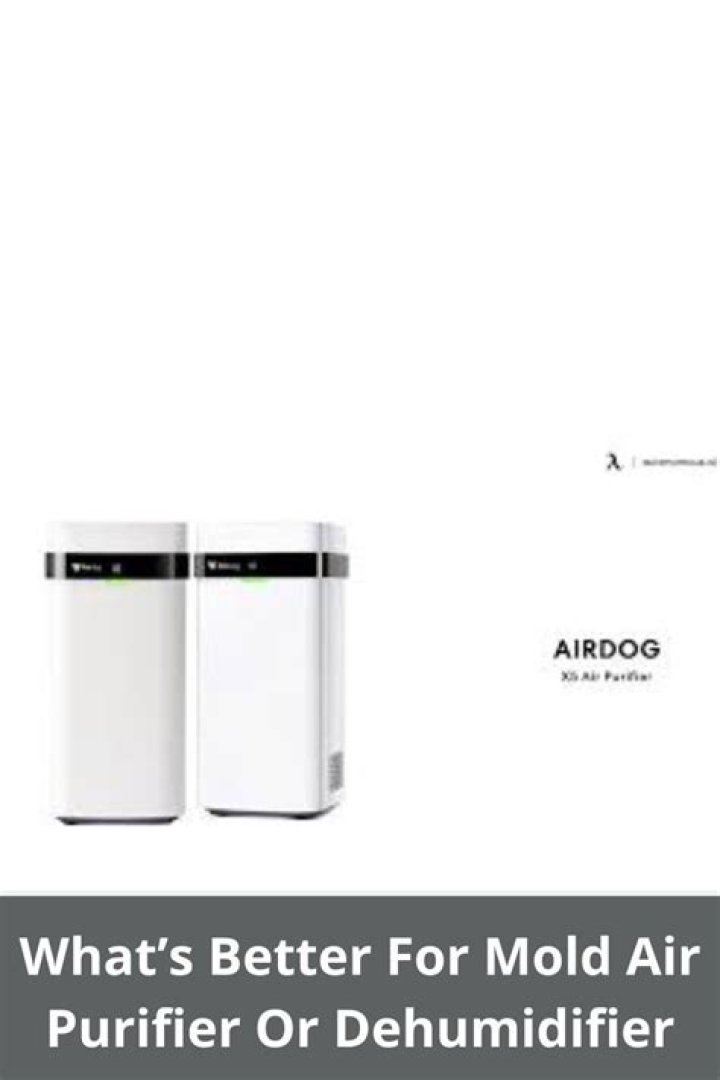 What's better for mold air purifier or dehumidifier?