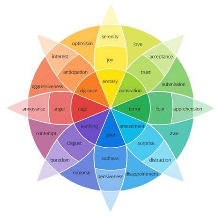 What are the different feelings and emotions did you experience?