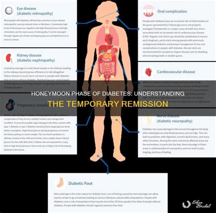 What is the honeymoon phase in diabetes?