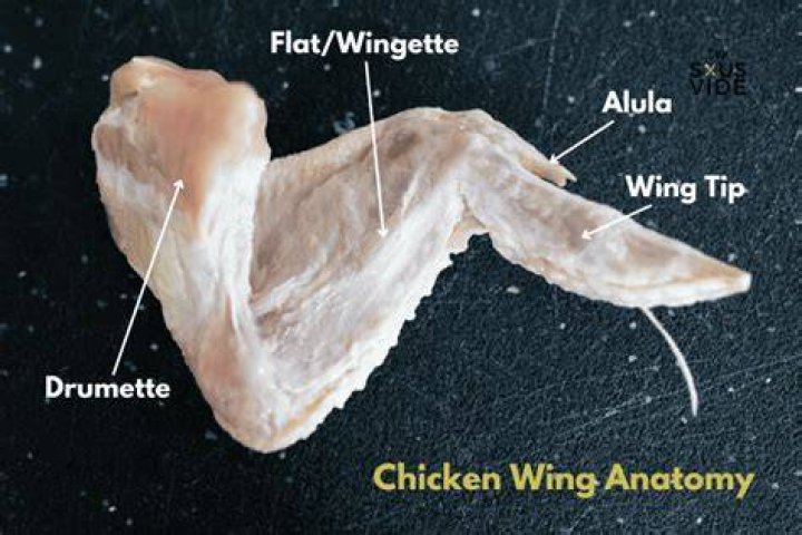What kind of chicken is chicken wings?