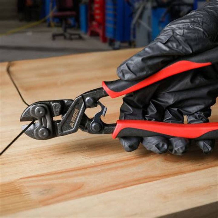 What size bolt cutters will cut a Master Lock?
